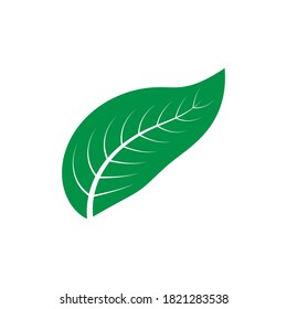 leaf logo illustration design