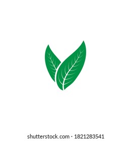 leaf logo illustration design
