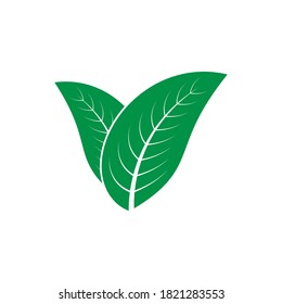diseño de ilustración de logotipo de hoja