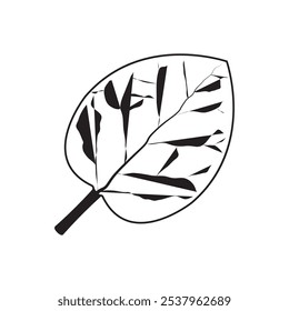 Diseño de elemento de ilustración de logotipo de hoja