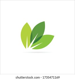 leaf logo illustration nature element vector 