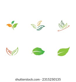 vector de ilustración de logotipo de hoja con concepto ecológico