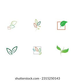 leaf logo illustration vector with eco-friendly concept