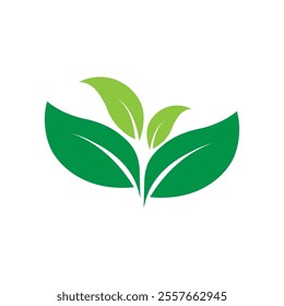 Leaf Logo Images design Template Icon