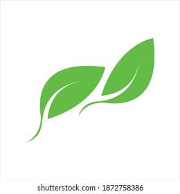 Leaf logo images illustration design