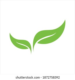 Leaf logo images illustration design