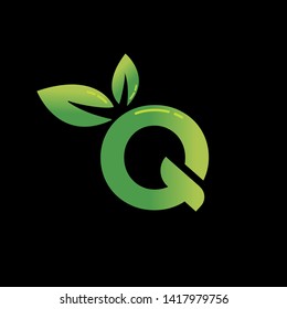 Leaf logo with initial Letter Q , Q Leaf Logo 
Nature with root style in Letter Q, 