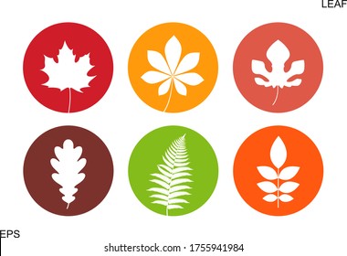 Leaf logo. Isolated leaf on white background