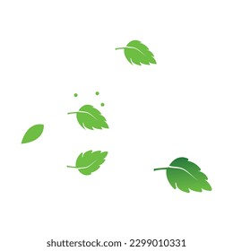 leaf logo, leaves set, green leaf logo,herbel logo, leaves. Eco green color leaf vector logo flat icon set.