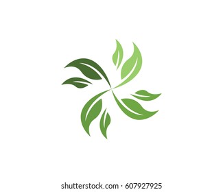 Leaf logo natural health