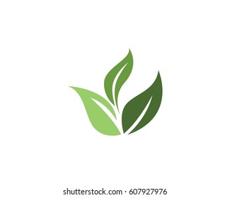 Leaf logo natural health