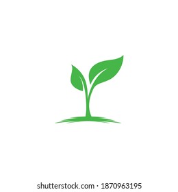 leaf logo nature green element vector