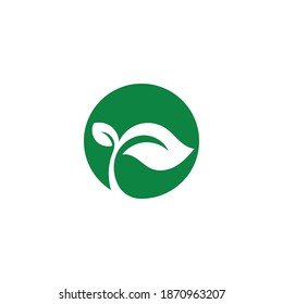 leaf logo nature green element vector