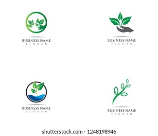 leaf logo nature illustration