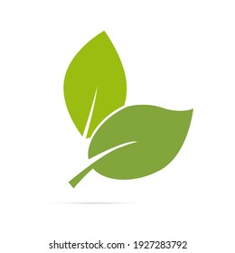 Logotipo de hoja etiqueta orgánica eco icono vector fondo aislado.