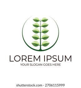 El logotipo de la hoja representa la Renovación del crecimiento y una conexión profunda con la naturaleza