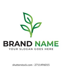 The leaf logo represents growth renewal and a deep connection to nature