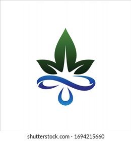 leaf logo with ribbon drop water vector template design