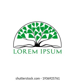 Leaf logo and roots vector illustration, green leaf symbol