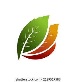 leaf logo simple clean and elegance