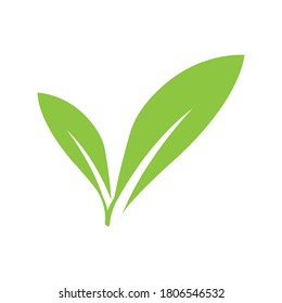 leaf logo stock illustration design