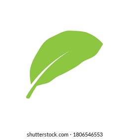 leaf logo stock illustration design