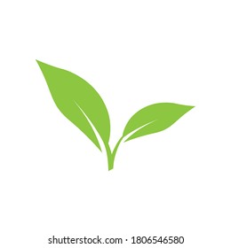 leaf logo stock illustration design