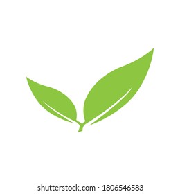 leaf logo stock illustration design