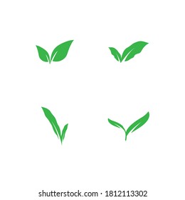 leaf logo stock illustration design