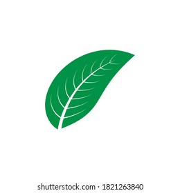 leaf logo stock illustration design
