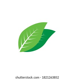 leaf logo stock illustration design