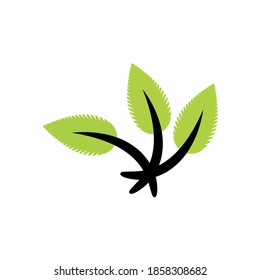 leaf logo symbol design vector