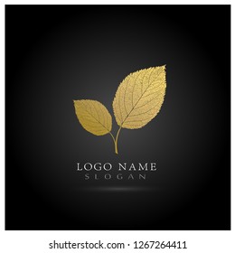 Leaf Logo. Symbol & Icon Vector Template