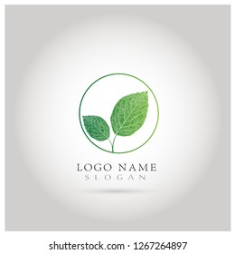 Leaf Logo. Symbol & Icon Vector Template