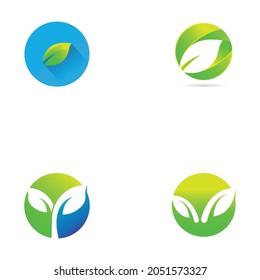 Leaf logo and symbol illustration