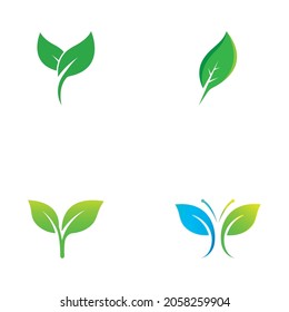 Logo de la hoja e imágenes de símbolos