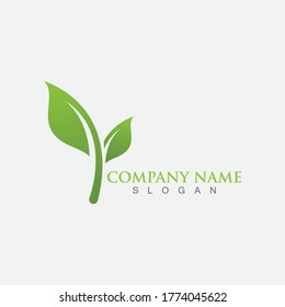 Leaf logo and symbol template vector