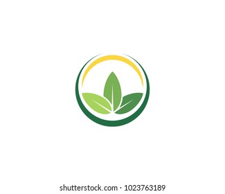 Leaf Logo Tamplate