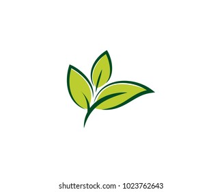 Leaf Logo Template