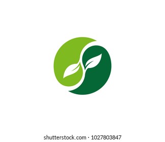 Leaf Logo Template