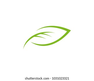 Leaf Logo Template