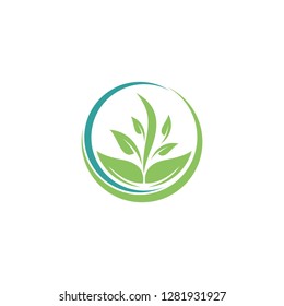 leaf logo template