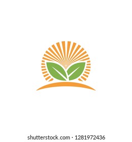 Vector Agriculture Organic Farm Line Logos Stock Vector (Royalty Free ...