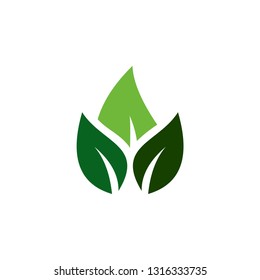 leaf logo template