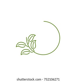 Leaf Logo Template