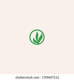Leaf logo template design in Vector illustration 