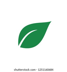 leaf logo template icon vector 