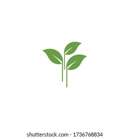 Leaf Logo Template nature vector symbol.