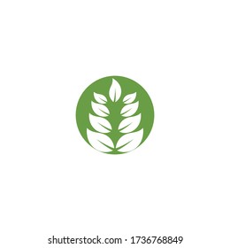 Leaf Logo Template nature vector symbol.