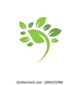 Leaf Logo Template. Tree leaf logo template design vector , icon illustration